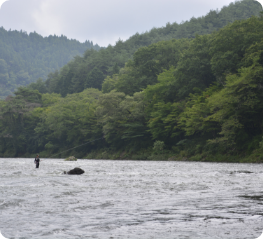 清流久慈川が流れる自然豊かな周辺環境