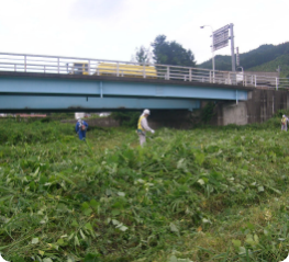 河川敷等の除草作業